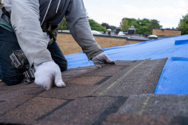 Quick and Trustworthy Emergency Roof Repair Services in Berwyn, IL